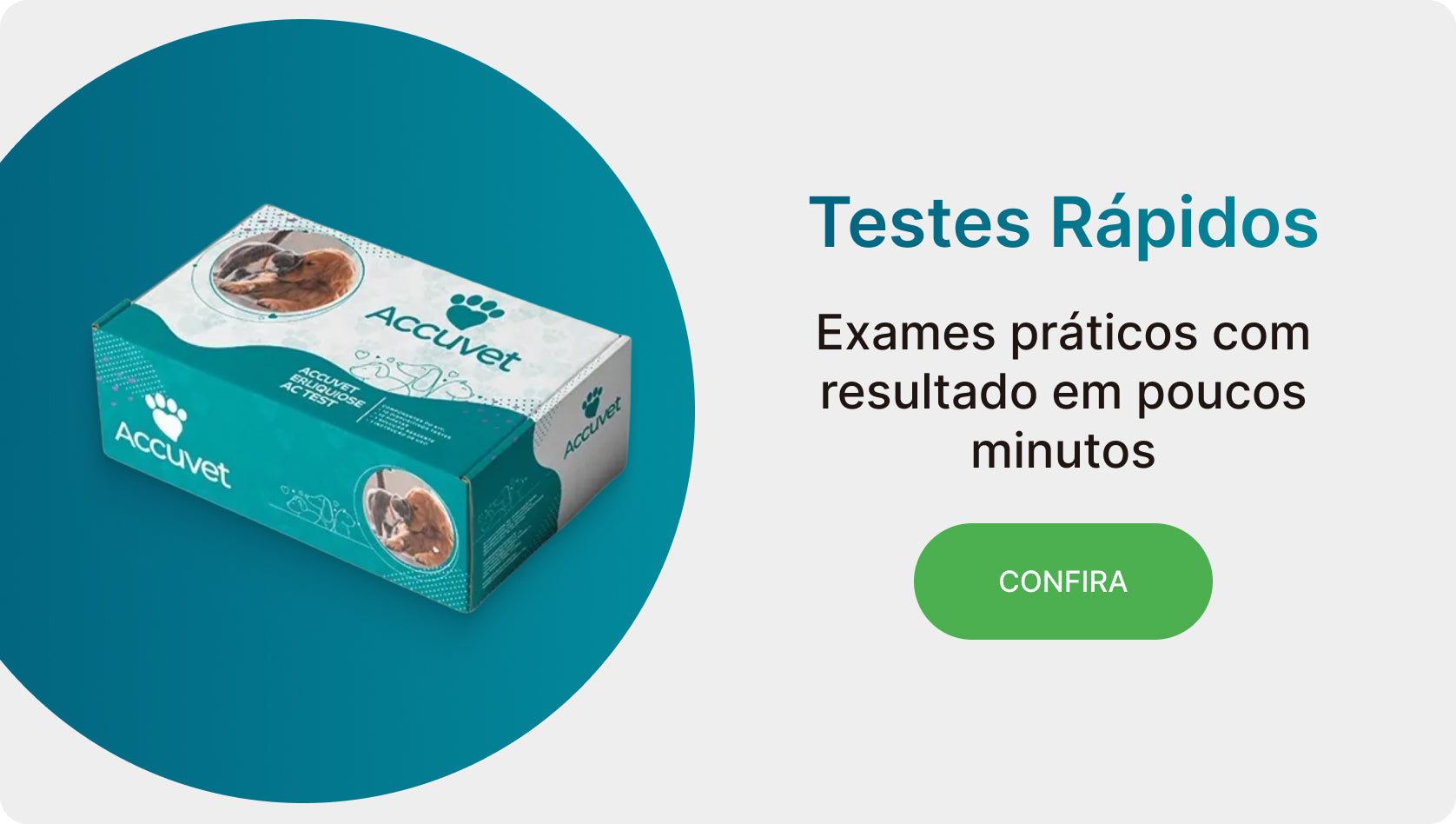 Testes Rápidos