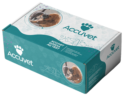 GIARDIA AG - 5 TESTES - ACCUVET